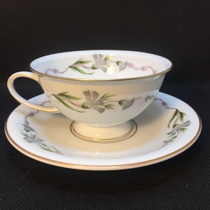 Fantasia Cup and Saucer by Rosenthal of Germany