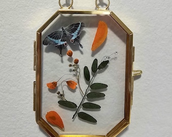 Pressed Flower Floating Frame | Butterfly & Floral Art Decor