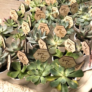 All things grow with love, succulent plant tag, baby shower, wedding favor, plant stake, custom tags, personalized