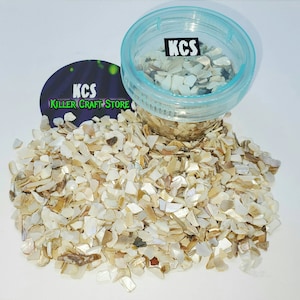 May include: A clear plastic container filled with small, iridescent white and beige shell pieces. The container has a blue lid with the letters "KCS" printed on it. The shell pieces are scattered around the container on a white surface.