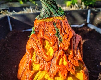 Pumpkin Lamp, Grim.