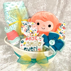 Flower Meadow Baby Girl Gift Basket:  baby shower, welcome baby, new parents, corporate, co-worker