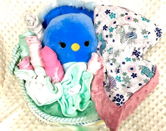 Baby Girl Bunt Geschenkkorb: Babyparty, Baby-Geschenkkorb, Baby-Mädchen-Geschenk, neues Säuglingsgeschenk, Enkelin, Willkommens-Baby-Korb