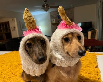 Dog Hat - unicorn style
