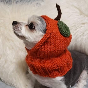Pumpkin dog hat - hand knit