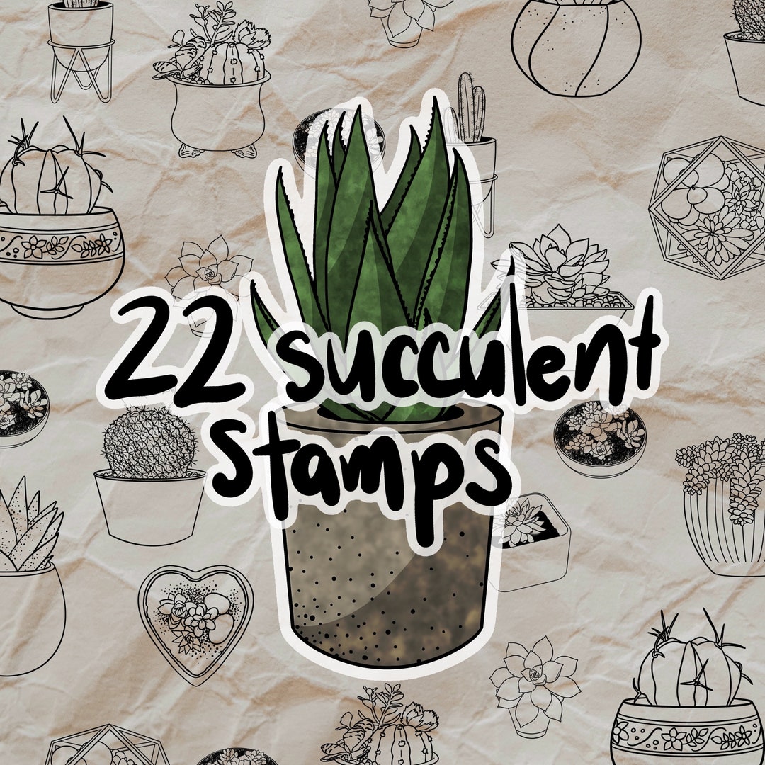 Succulent Procreate Brushes - 22 Stamps - Etsy Australia