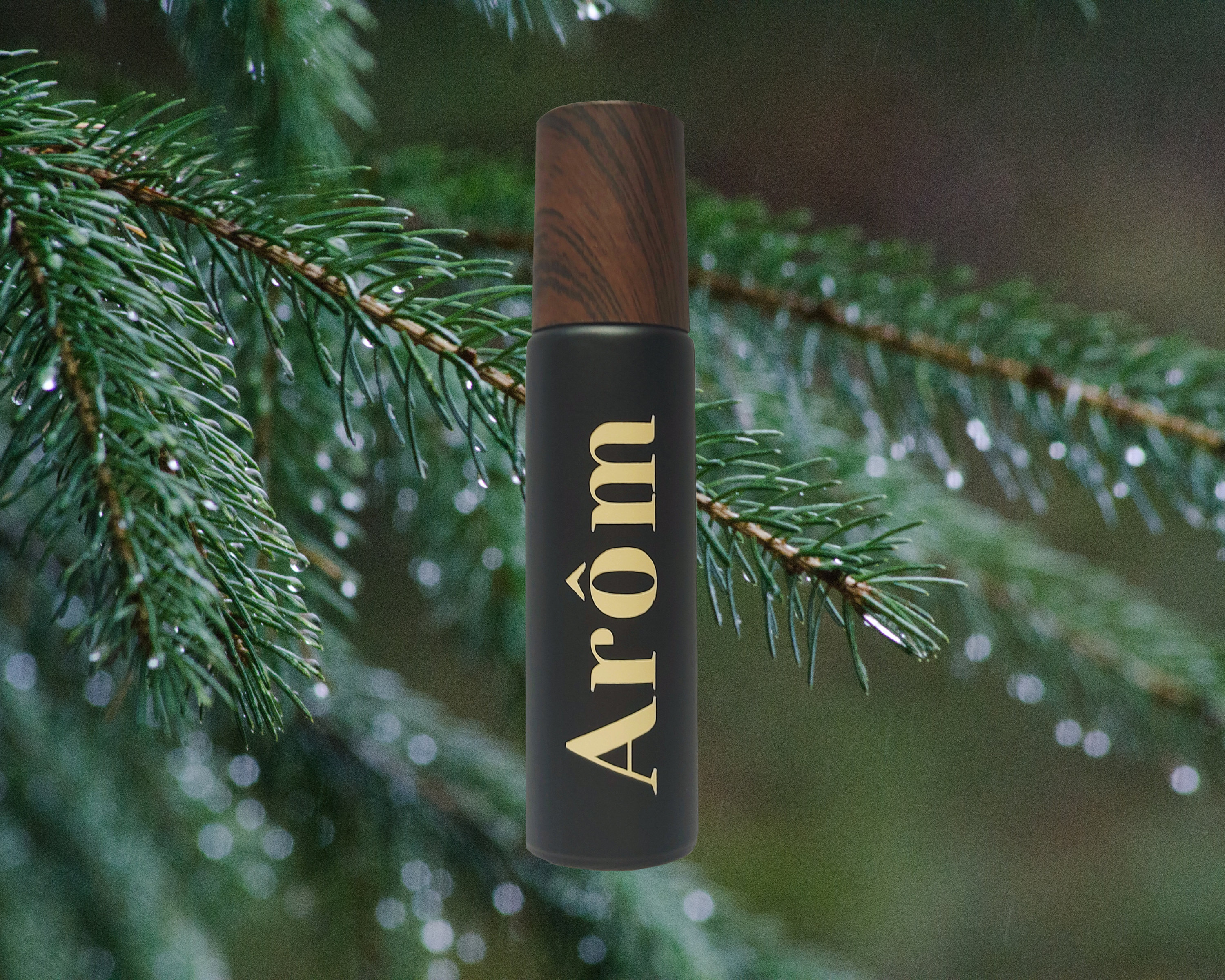Black Pine Perfume Oil - Pine & Anise Perfume for Winter - Roll On Perfume - Unisex Travelsize Fragrance - Alcohol-Free Cologne