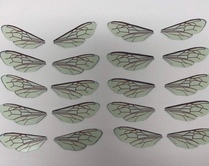 Bumble Bee Wing Download Etsy