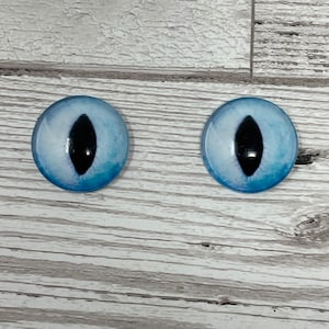 Cabochons en oeil de verre bleu clair de 8 mm à 40 mm yeux de chat iris de dragon yeux d'animal (480)