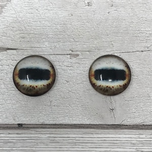 Cabochons en verre brun, de 6 mm à 40 mm, yeux de mouton, yeux de cheval, yeux de cerf, yeux de chèvre, yeux de pieuvre, yeux de mangouste (465)