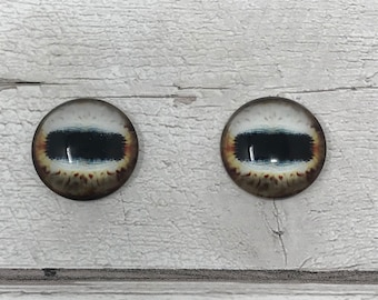 Bruine cabochons met glazen oog in de maten 6 tot 40 mm schapenogen, paardenogen, hertenogen, geitenogen, octopusogen mangoestogen (465)