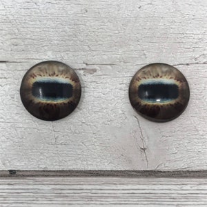 Cabochon di vetro marrone con occhi in dimensioni da 6 mm a 40 mm occhi di pecora, occhi di cavallo, occhi di cervo, occhi di capra, occhi di polpo occhi di mangusta (460)