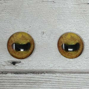 Orange Glass eye cabochons in sizes 6mm to 40mm sheep eyes, horse eyes, deer eyes, goat eyes, octopus eyes mongoose eyes (538)