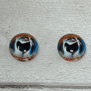 Cabochons met glazen oog in de maten 6 tot 40 mm octopus inktvis inktvis vis iris (522)