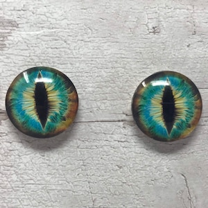 Braune und blaue Glasaugen Cabochons in den Größen 6 mm bis 40 mm Drachenaugen Katze Fuchs Boa Schlange iris (046)