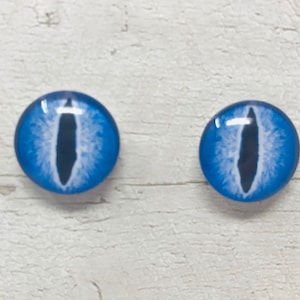 May include: Two blue glass eyes with white pupils and black irises. The eyes are round and have a glossy finish.