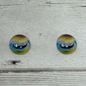 Cabochons met glazen oog in de maten 6 tot 40 mm octopus inktvis inktvis vis iris (524)