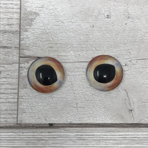 Glass eye cabochons in sizes 6mm to 20mm dragon eyes fish reptile lizard iris (400)