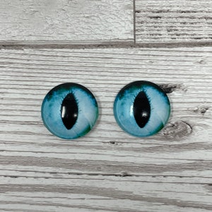 Cabochons en verre bleu oeil de 8 mm à 40 mm yeux de chat iris de dragon yeux d'animal (475)