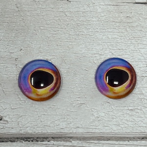 Cabochons met glazen oog in de maten 6 tot 40 mm octopus inktvis vis iris (528)
