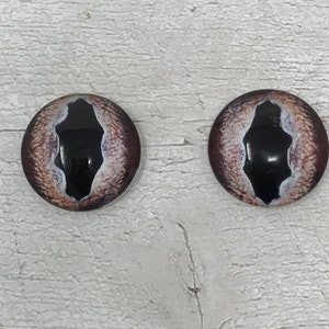 Brown glass eye cabochons in sizes 6mm to 20mm dragon eyes fish reptile iris (376)