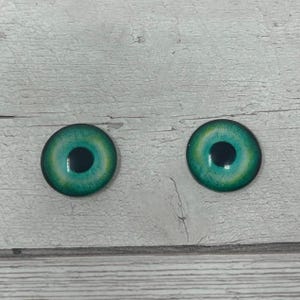 Par de cabochões de olhos de vidro verde realistas em tamanhos de 6 mm a 20 mm olhos de pássaro realistas íris humana (603)