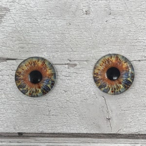 Hazel cabochons met glazen oog in de maten 6 mm tot 40 mm menselijke iris hond kat dierenogen (411)