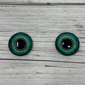 Green glass eye cabochons in sizes 6mm to 40mm dragon eyes cat iris (577)