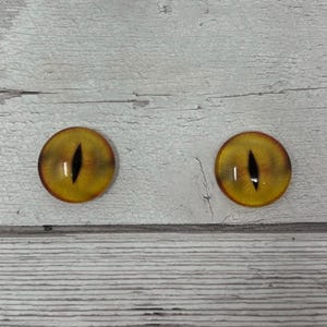 May include: Two round, yellow and brown glass eye cabochons with black vertical pupils. The eyes have a gradient effect, transitioning from yellow to brown. The cabochons are set against a light grey wooden background.