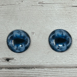 Blaue Glasaugencabochons in den Größen 6 mm bis 40 mm Schafaugen, Pferdeaugen, Rehaugen, Ziegenaugen, Oktopusaugen, Mungoaugen (533)