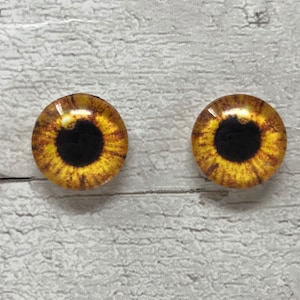 Cabochões de olhos de vidro laranja em tamanhos de 8 mm a 40 mm, olhos humanos, olhos de morcegos de animais, raposas, íris de cães (138)