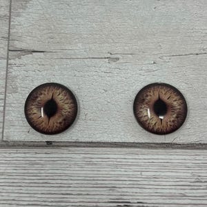 Brown glass eye cabochons in sizes 8mm to 40mm cat eyes dragon iris animal eyes (655)