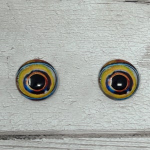 Cabochons met glazen oog in de maten 6 tot 40 mm octopus inktvis inktvis vis iris (525)