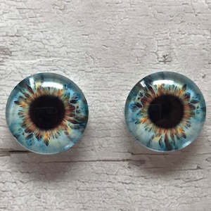 Cabochons yeux de chat bleus et bruns de 6 mm à 40 mm, iris de chat (359)