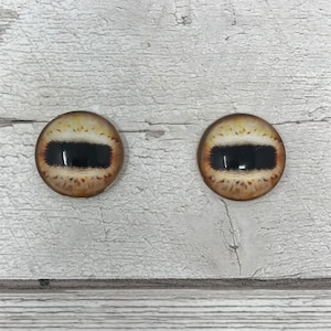 Braune Glasaugencabochons in den Größen 6 mm bis 40 mm Schafaugen, Pferdeaugen, Rehaugen, Ziegenaugen, Krakenaugen, Mungoaugen (461)
