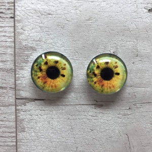 Realistic glass eyes life like green and brown  cabochons in sizes 6mm to 40mm dragon eyes cat iris (357)