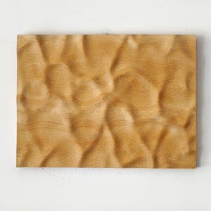 Puede incluir: Una obra de arte mural rectangular de madera con una superficie texturizada y ondulada. La madera es de color marr&oacute;n claro con vetas visibles, creando una est&eacute;tica natural. La pieza est&aacute; montada en una pared blanca.