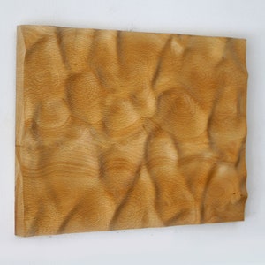 Puede incluir: Una obra de arte mural rectangular de madera con una superficie texturizada y ondulada. La madera es de color marr&oacute;n claro y presenta un patr&oacute;n de vetas natural. Los bordes de la obra est&aacute;n cortados de forma tosca, lo que a&ntilde;ade a su est&eacute;tica r&uacute;stica.