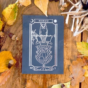 Carte Postale d'Automne Hibou Argenté