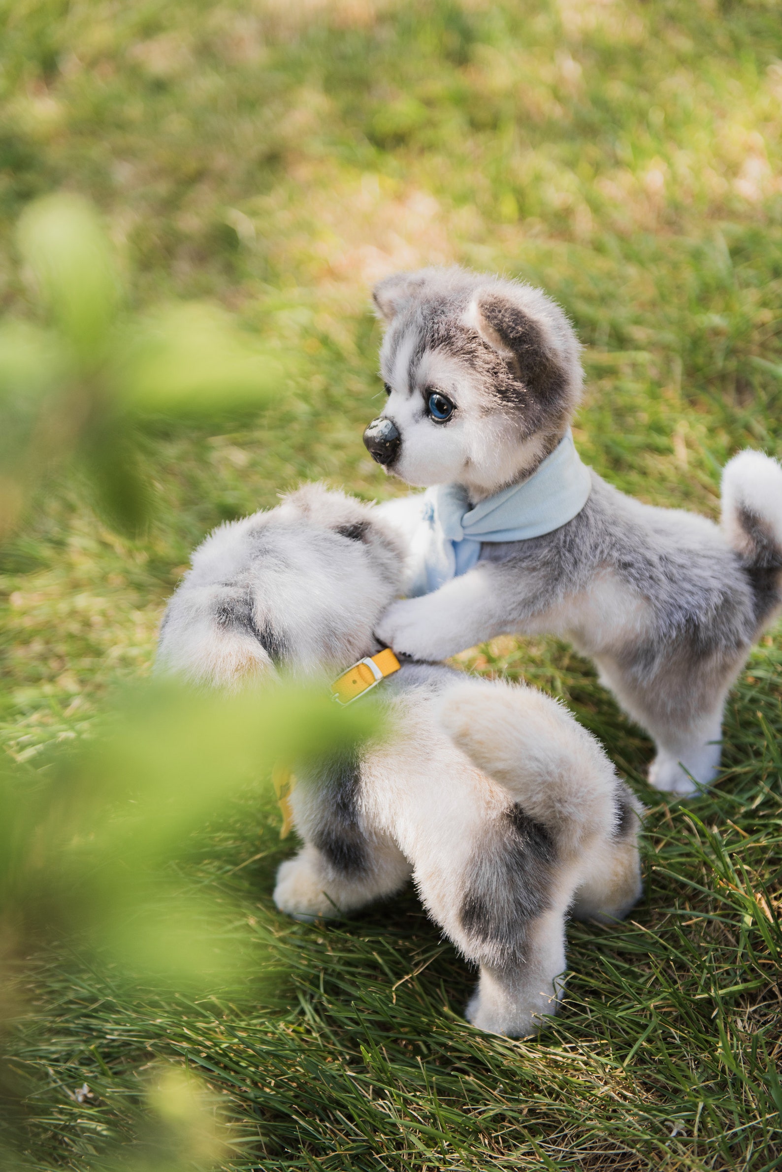 Welpe Plüschtier Realistische Hund Stofftier Ooak Puppe Reborn Etsy