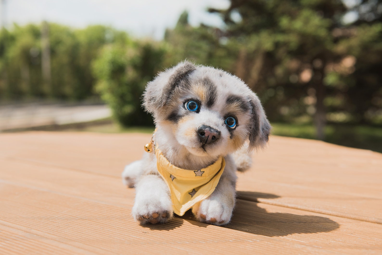 Welpe Plüschtier Realistische Hund Stofftier Ooak Puppe Reborn Etsy