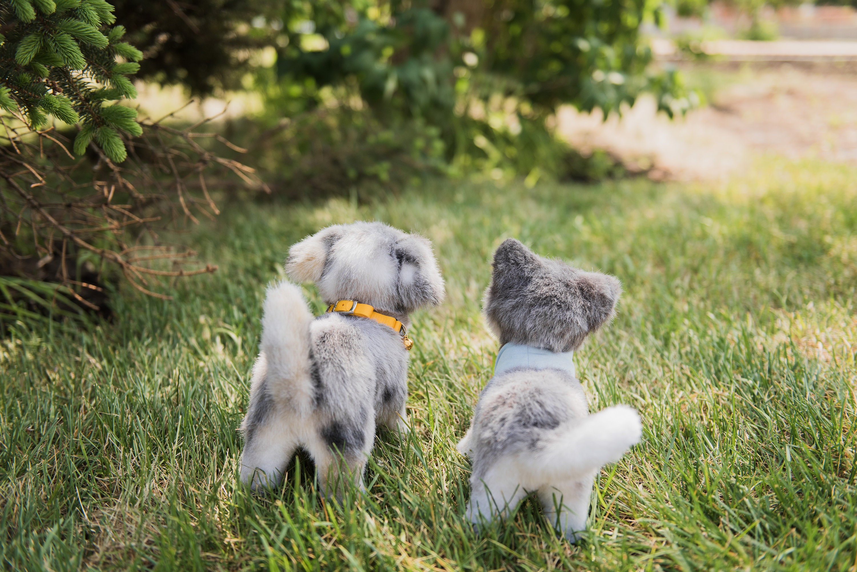 Welpe Plüschtier Realistische Hund Stofftier Ooak Puppe Reborn Etsy