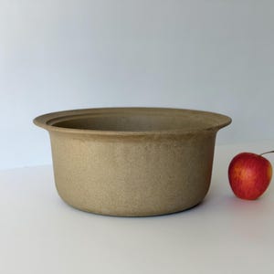 May include: A wide, shallow, matte beige ceramic bowl with a textured, speckled finish and a prominent, flat-rimmed edge. The bowl is positioned next to a single, bright red apple, providing a clear sense of scale for the vessel's dimensions.