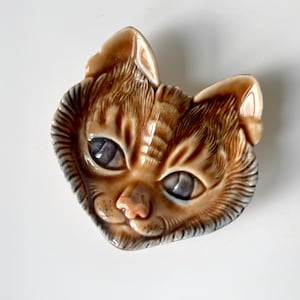 Op de afbeelding: Een keramische kattenbak met een bruin en wit gestreept patroon. De kat heeft blauwe ogen en een roze neus.