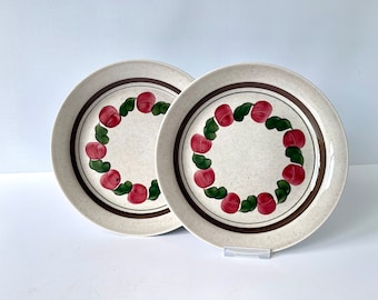 Rörstrand BIRGITTA Dinner Plates Design by Jacqueline Lynd
