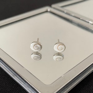 Gorgeous Delicate Natural White Shiva Shell And 925 Sterling Silver Oval Stud Earrings Gift