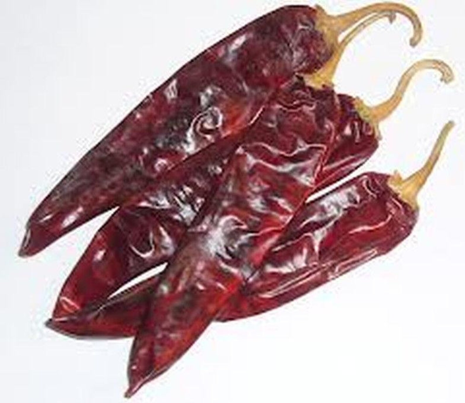 Guajillo Chile Pepper Seeds Etsy