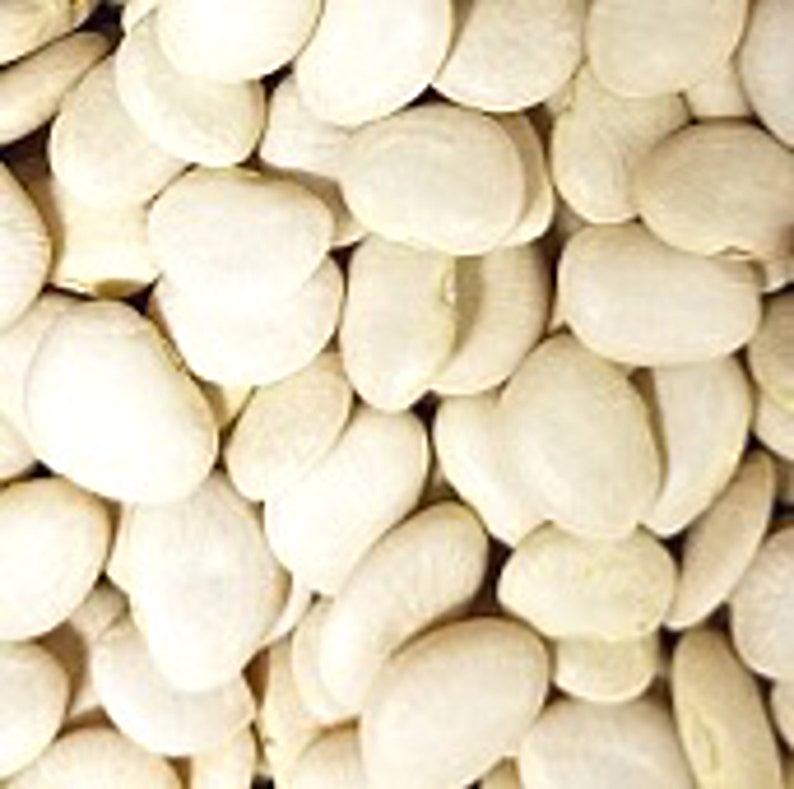Willow Leaf Lima Beans Seeds
