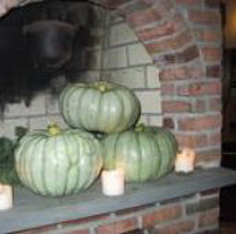Jarrahdale Pumpkins Seeds