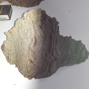 May include: A piece of bark with a rough, textured surface. The bark is a mix of brown, gray, and green colors.